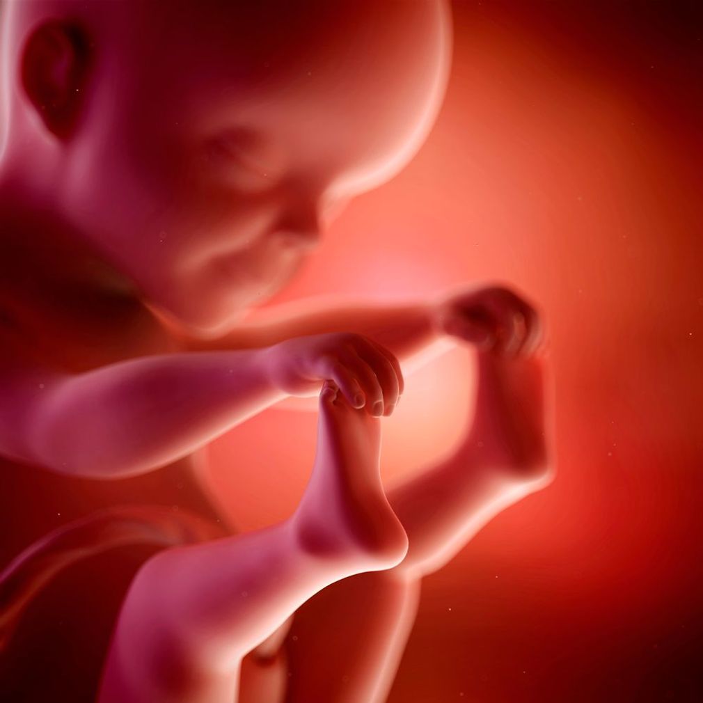 Due Date Calculator